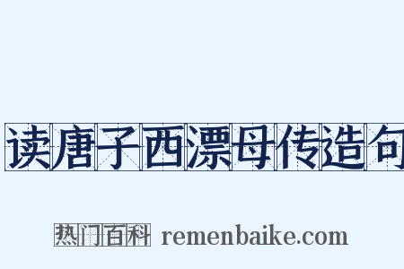 读唐子西漂母传造句是什么意思的图片